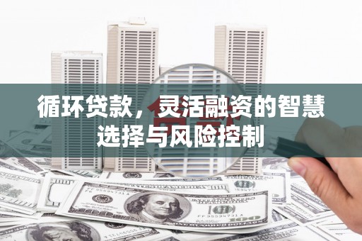疏勒循环贷款，灵活融资的智慧选择与风险控制