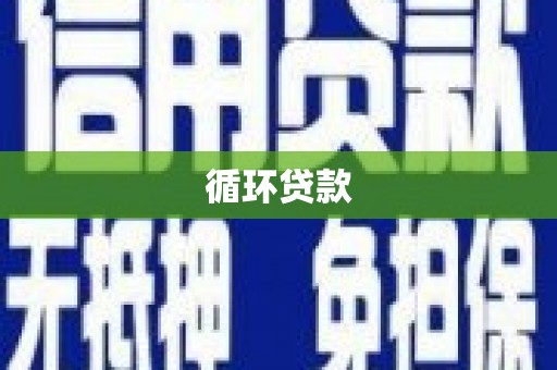 疏勒循环贷款