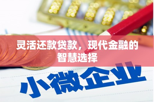 疏勒灵活还款贷款，现代金融的智慧选择