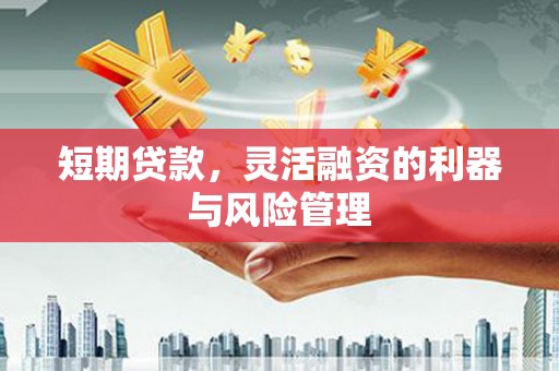 疏勒短期贷款，灵活融资的利器与风险管理