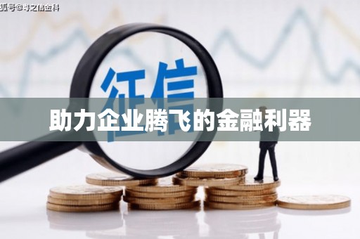 疏勒助力企业腾飞的金融利器