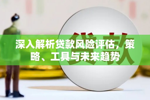 疏勒深入解析贷款风险评估，策略、工具与未来趋势