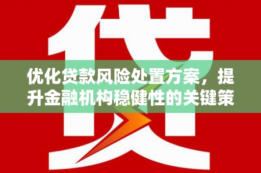 疏勒优化贷款风险处置方案，提升金融机构稳健性的关键策略