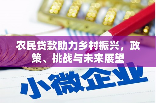 疏勒农民贷款助力乡村振兴，政策、挑战与未来展望