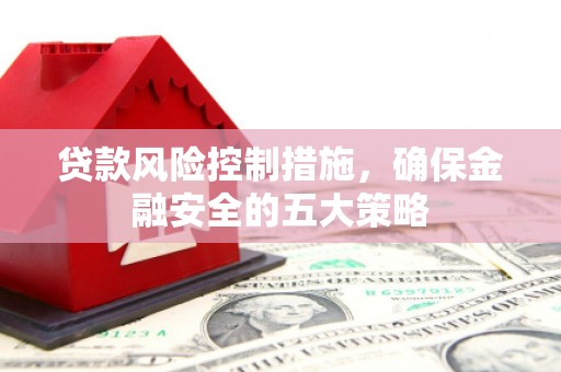 疏勒贷款风险控制措施，确保金融安全的五大策略