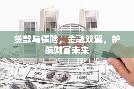 疏勒贷款与保险，金融双翼，护航财富未来