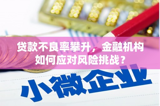 疏勒贷款不良率攀升，金融机构如何应对风险挑战？