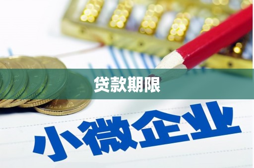 疏勒贷款期限