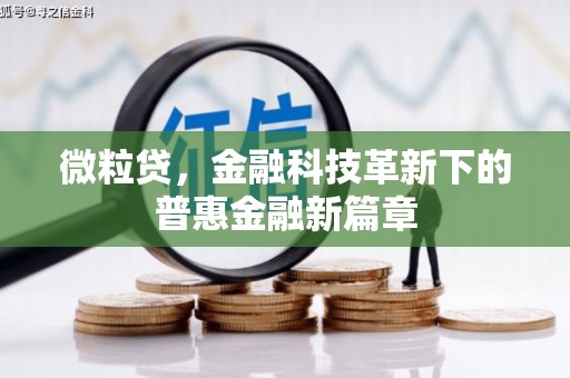 疏勒微粒贷，金融科技革新下的普惠金融新篇章