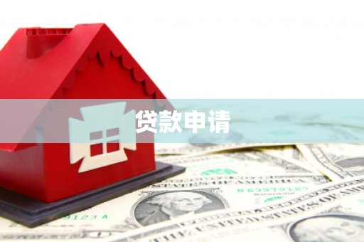 疏勒贷款申请