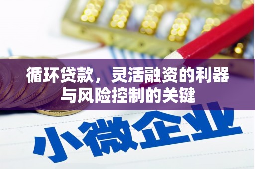 疏勒循环贷款，灵活融资的利器与风险控制的关键