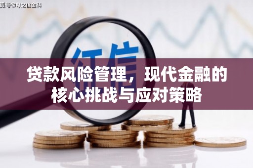 疏勒贷款风险管理，现代金融的核心挑战与应对策略