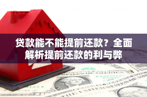 疏勒贷款能不能提前还款？全面解析提前还款的利与弊