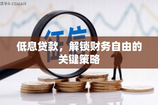 疏勒低息贷款，解锁财务自由的关键策略