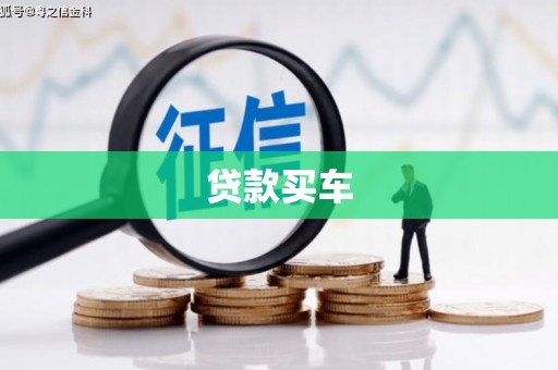 疏勒贷款买车
