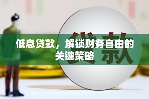 疏勒低息贷款，解锁财务自由的关键策略