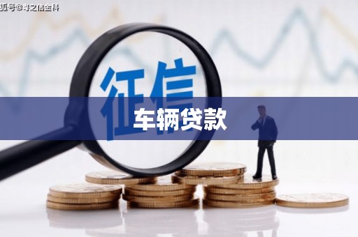 疏勒车辆贷款
