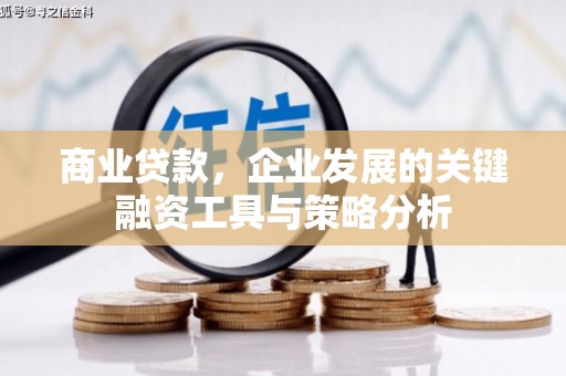 疏勒商业贷款，企业发展的关键融资工具与策略分析