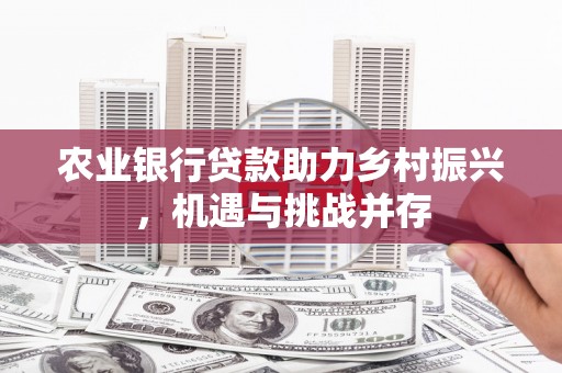 疏勒农业银行贷款助力乡村振兴，机遇与挑战并存