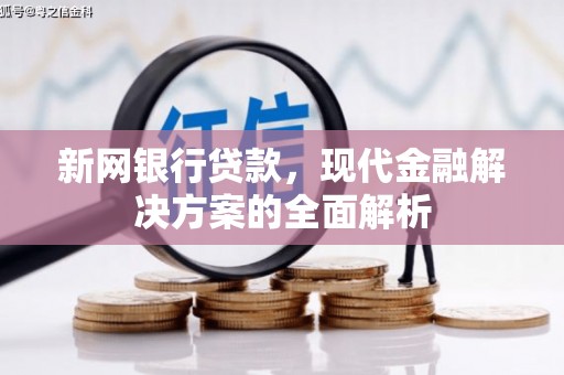 疏勒新网银行贷款，现代金融解决方案的全面解析