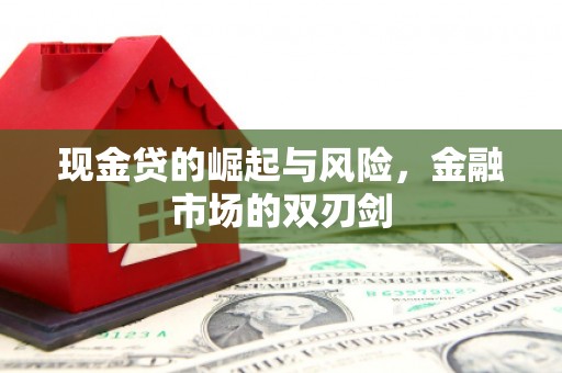 疏勒现金贷的崛起与风险，金融市场的双刃剑