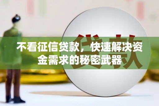 疏勒不看征信贷款，快速解决资金需求的秘密武器