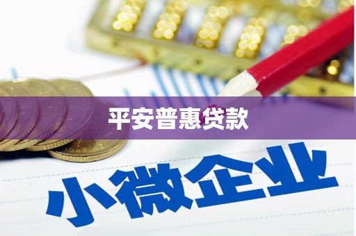 疏勒平安普惠贷款