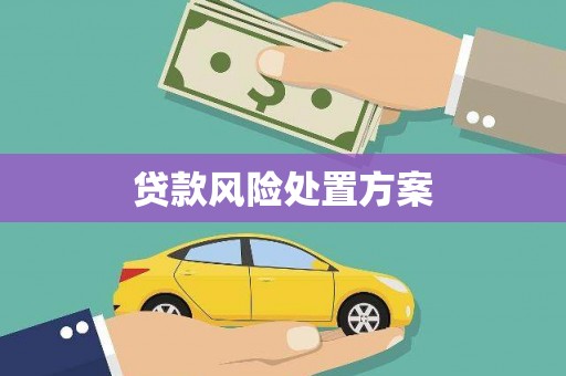 疏勒贷款风险处置方案