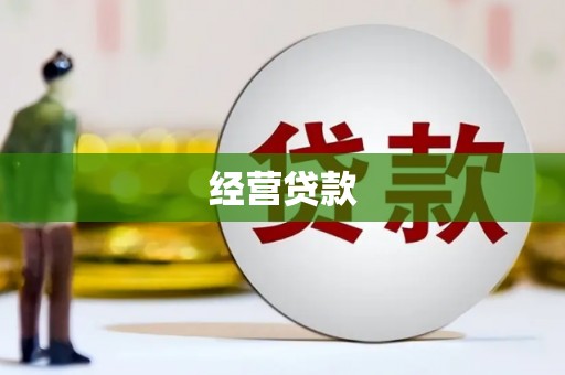疏勒经营贷款