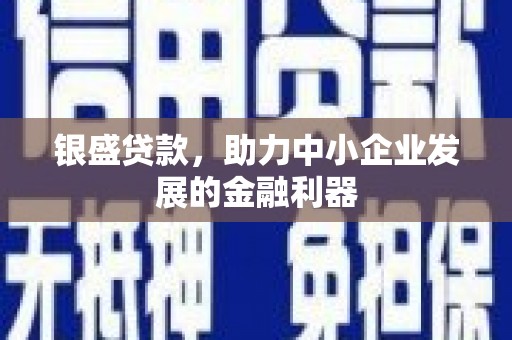 疏勒银盛贷款，助力中小企业发展的金融利器