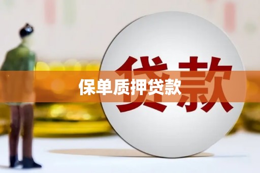 疏勒保单质押贷款