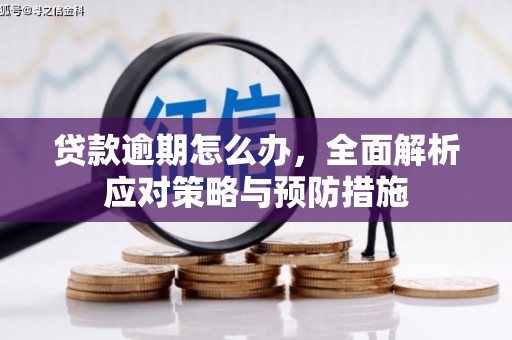 疏勒贷款逾期怎么办，全面解析应对策略与预防措施