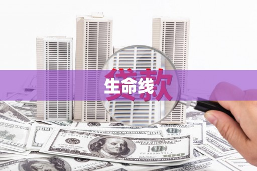 疏勒生命线