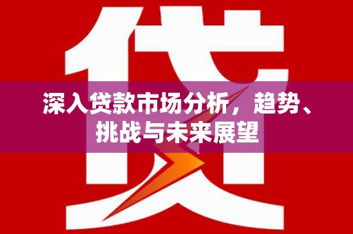 疏勒深入贷款市场分析，趋势、挑战与未来展望