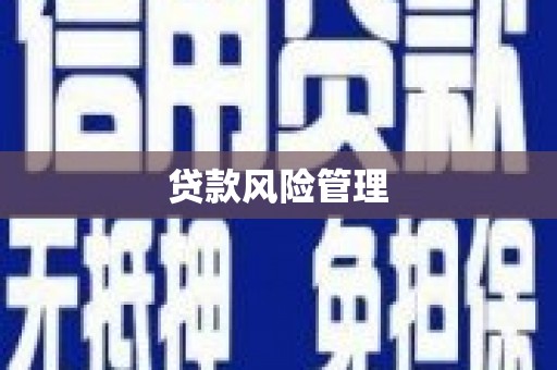 疏勒贷款风险管理