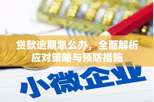 疏勒贷款逾期怎么办，全面解析应对策略与预防措施