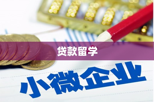 疏勒贷款留学