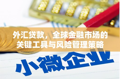 疏勒外汇贷款，全球金融市场的关键工具与风险管理策略