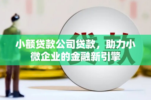 疏勒小额贷款公司贷款，助力小微企业的金融新引擎