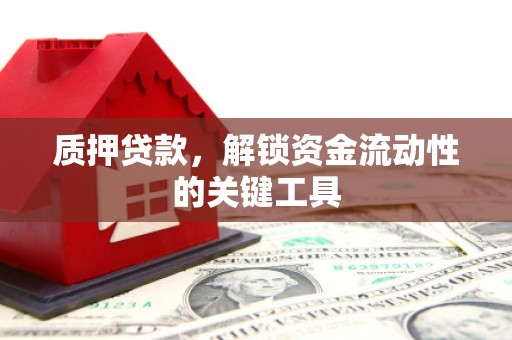 疏勒质押贷款，解锁资金流动性的关键工具
