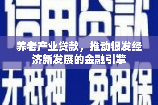 疏勒养老产业贷款，推动银发经济新发展的金融引擎
