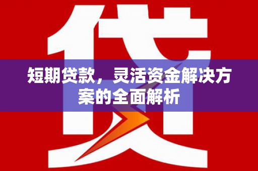 疏勒短期贷款，灵活资金解决方案的全面解析