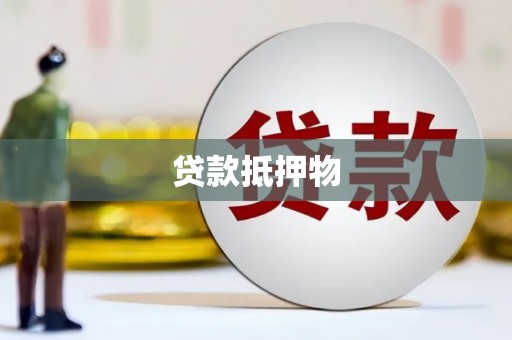 疏勒贷款抵押物