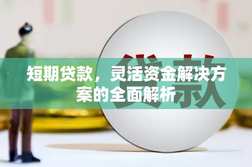 疏勒短期贷款，灵活资金解决方案的全面解析