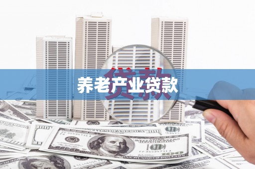 疏勒养老产业贷款