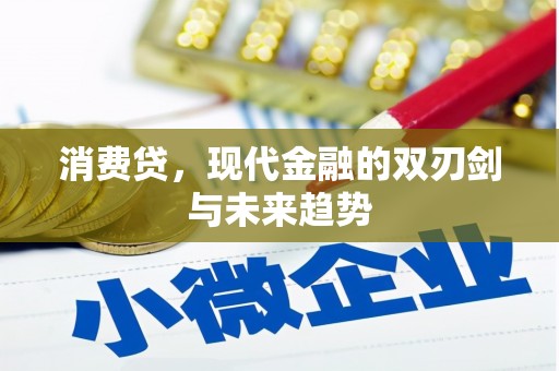 疏勒消费贷，现代金融的双刃剑与未来趋势