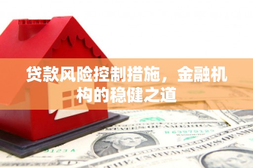 疏勒贷款风险控制措施，金融机构的稳健之道
