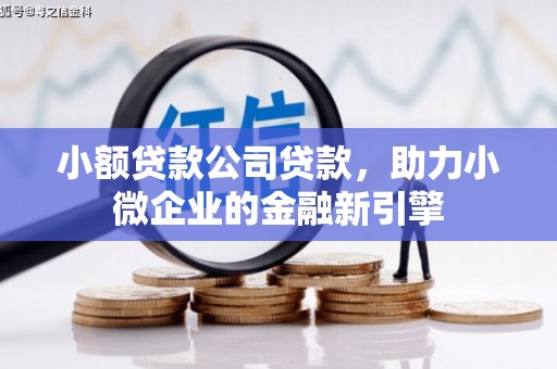 疏勒小额贷款公司贷款，助力小微企业的金融新引擎