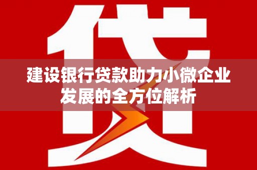 疏勒建设银行贷款助力小微企业发展的全方位解析