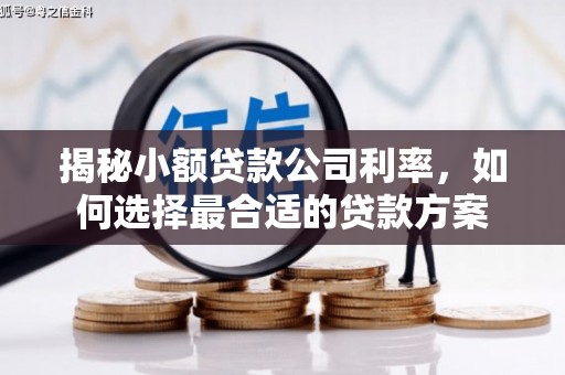 疏勒揭秘小额贷款公司利率，如何选择最合适的贷款方案